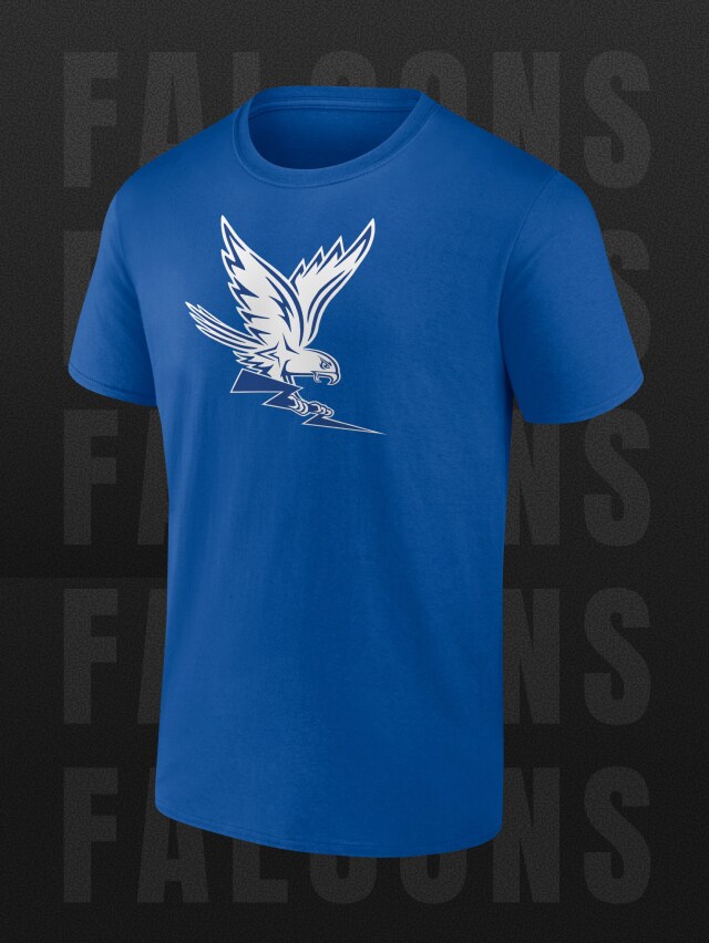 Air Force Falcons Gear, USAFA Gifts & Apparel, Falcons Merchandise